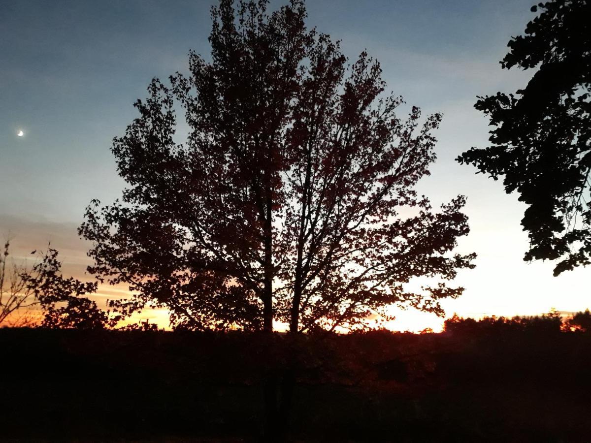 Bienvenue En Perigord Bed and Breakfast Val de Louyre et Caudeau Buitenkant foto